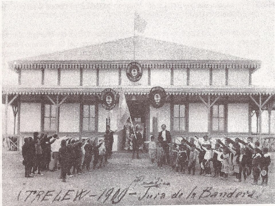 1909 年特雷利乌学童向国旗宣誓(档案照)
