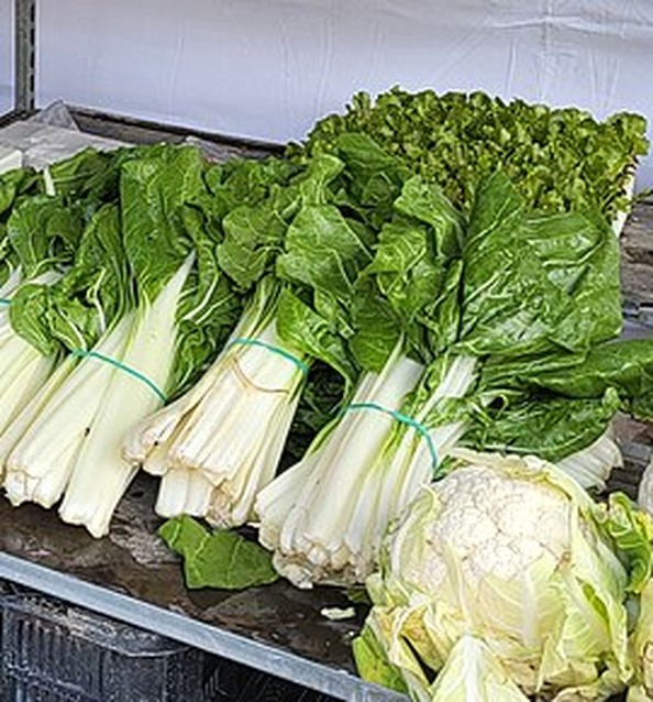 牛皮菜(acelga):白梗深绿叶,菜市场里成捆售卖